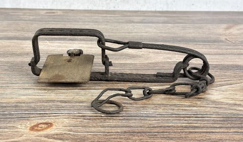 Plumb European Rabbit Trap