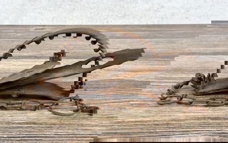 Oneida Victor 14 Jump Coyote Trap w/ Teeth
