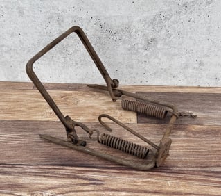 Killer Bait Hook Trap