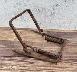 Killer Bait Hook Trap