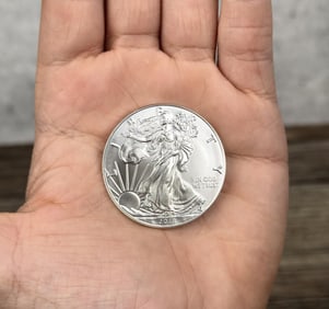 2018 American Silver Eagle Coin