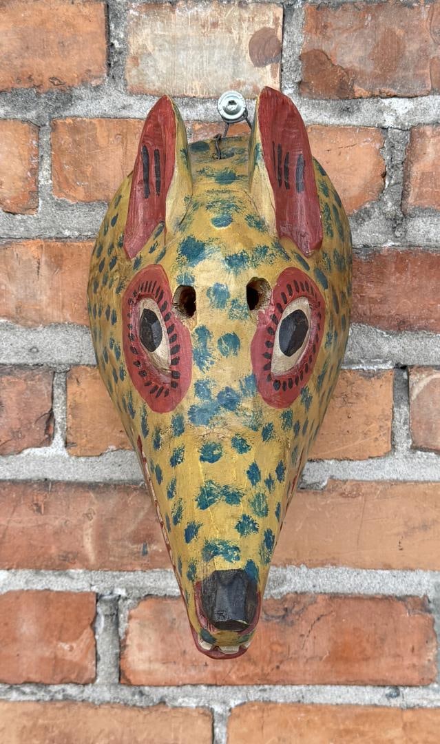 Mexican Carved Wood Coyote Dance mask: 11 1/2" by 6 1/2" by 5 1/4"