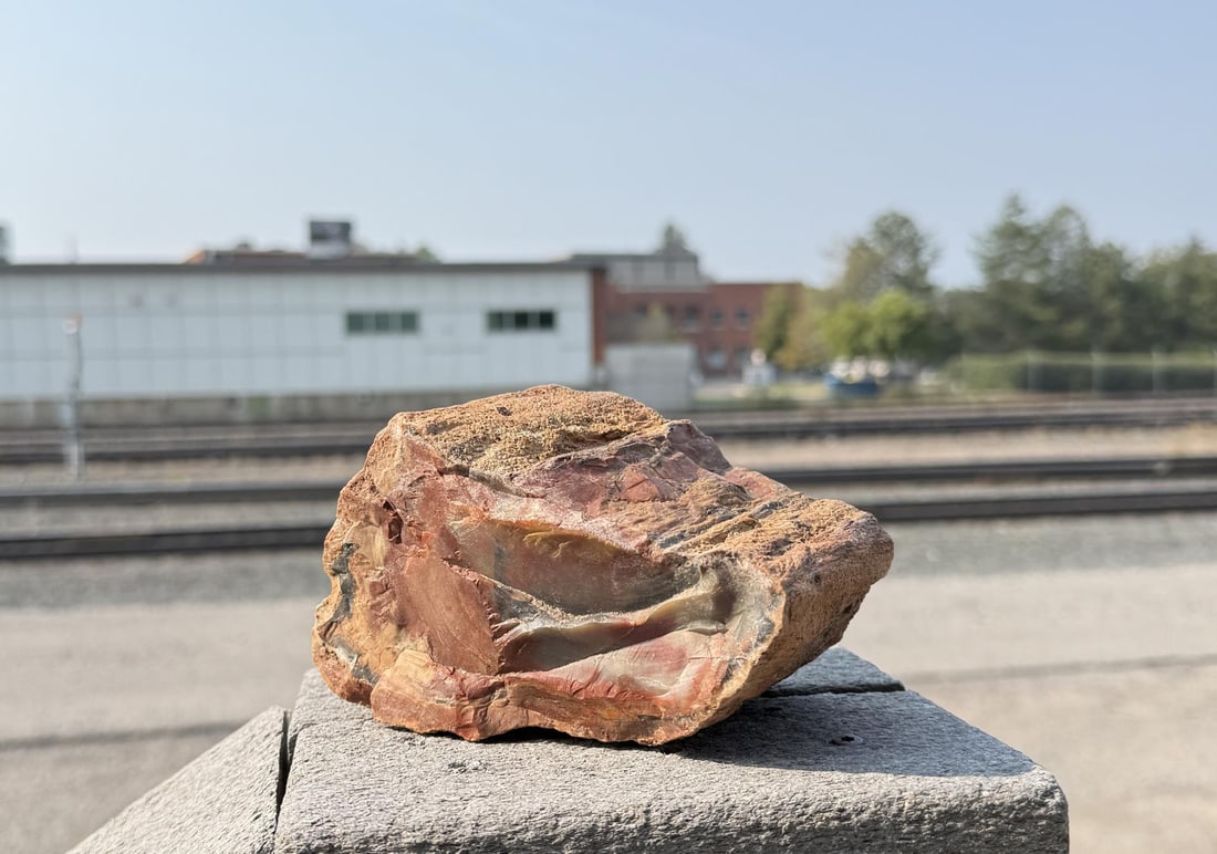 Arizona Rainbow Petrified Wood Lapidary Material: 5 1/4" by 3 1/2" by 3 1/2". 1720 grams.