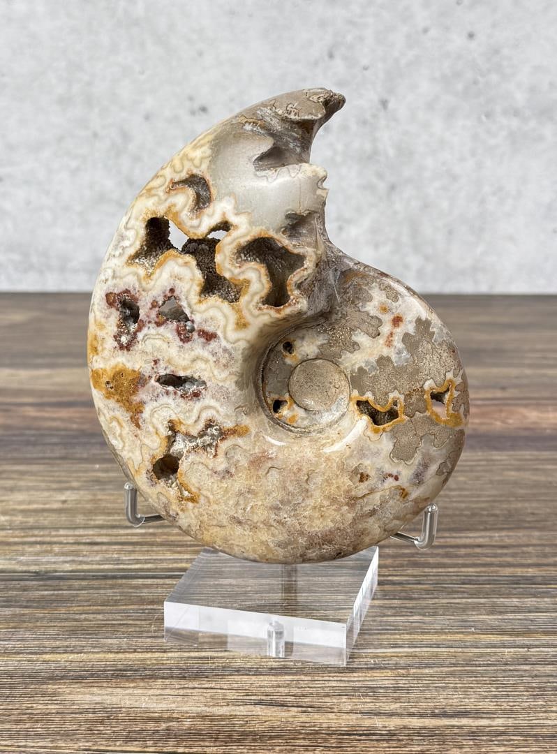 Druzy Ammonite Fossil: 5 5/8" by 4 5/8". 722 grams.