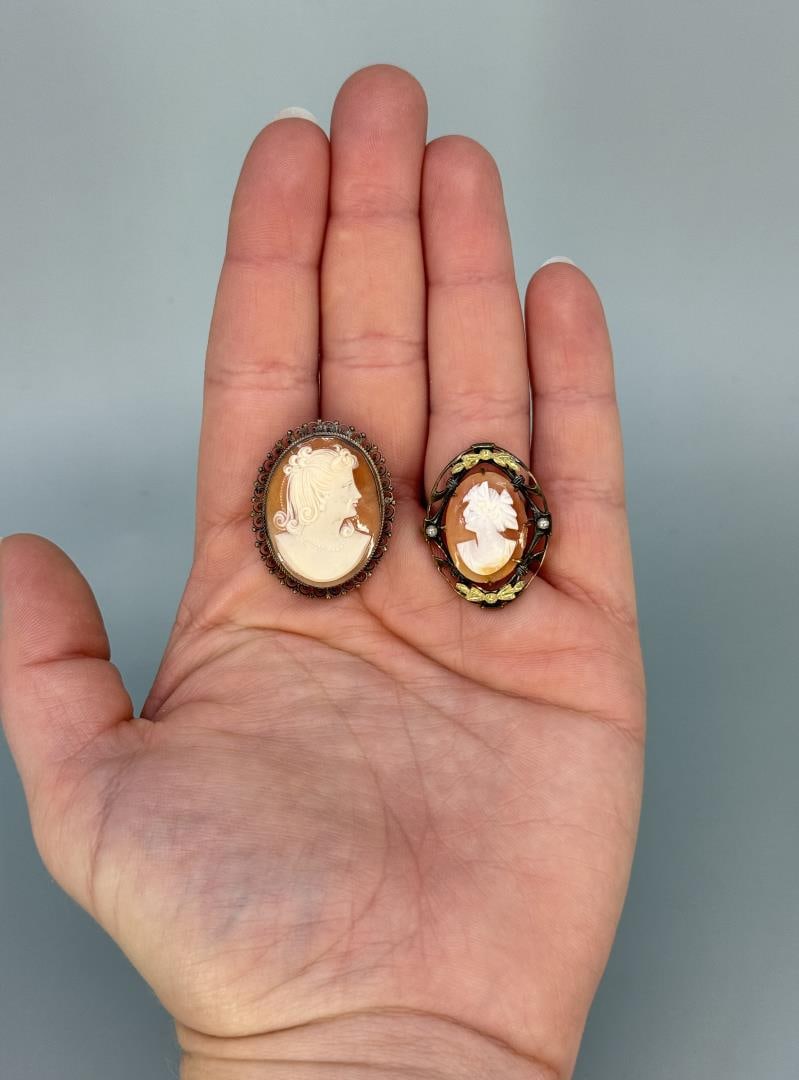Victorian Shell Cameo Brooches (1 of 4)