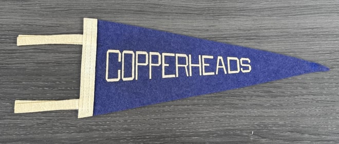 Anaconda Montana Copperheads Felt Pennant