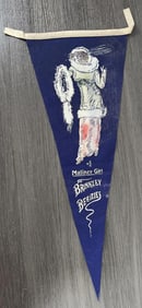 1910 Suffragette Brinkley Beauties Felt Pennant