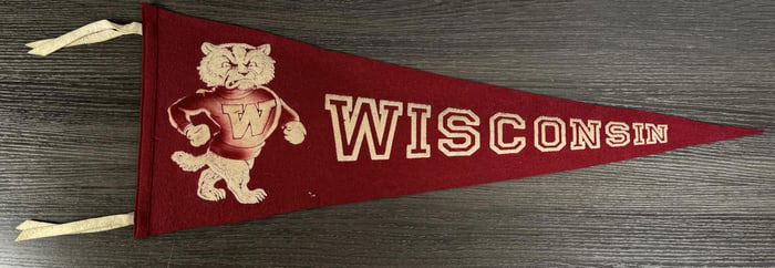 University Of Wisconsin Badgers Felt Pennant