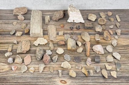 Collection of Fossil and Mineral Specimens