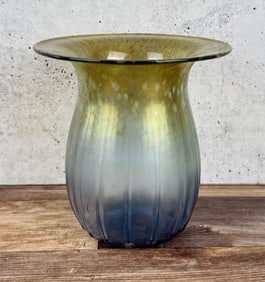 Bob Biniarz Archie Bray Montana Studio Art Glass