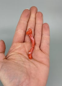Branch Coral Pendant