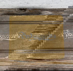 Antique New York Family Photo Album