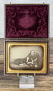 Antique Daguerreotype Photo Of Girl & Dog