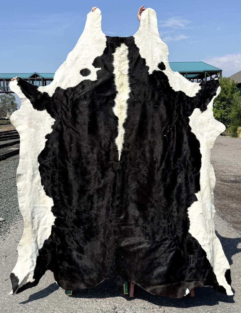 Tanned Holstein Cow Steer Bull Rug: 89" by 97"