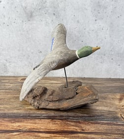 Mallard In Flight Carved Wood Duck