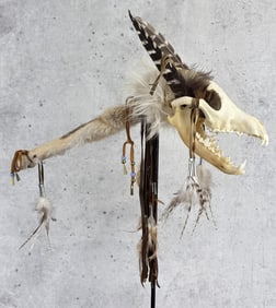 Native American Indian Coyote Skull Medicine Stick