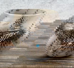 Geri Vail Navajo Horsehair Pot