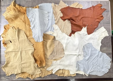 Collection of Tanned Leather Hides