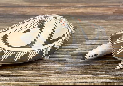 Christina Acosta Mata Ortiz Pottery Turtle