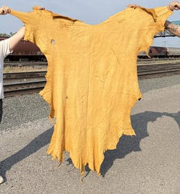 Tanned Leather Montana Elk Hide