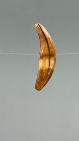 Ancient Thule Inuit Alaskan Bear Tooth Toggle