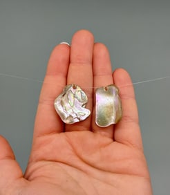 Native American Indian Abalone Trade Earrings