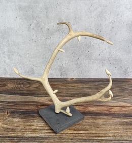Tuckyashuk Alaskan Inuit Pussy Willow Sculpture