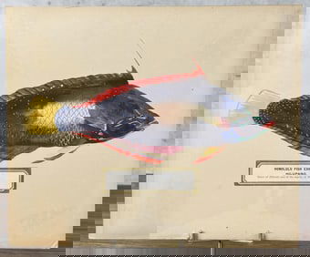 Albertus Baldwin Hawaiian Fish Watercolor Painting