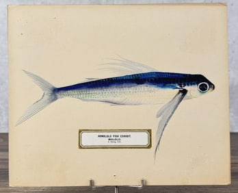 Albertus Baldwin Hawaiian Fish Watercolor Painting