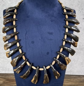 Plains Indian Buffalo Tooth Necklace