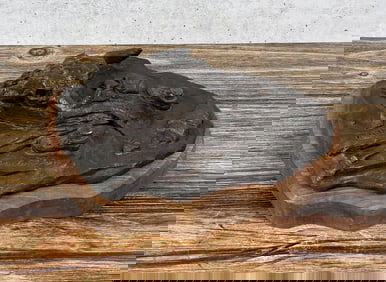 Merle Olson Buffalo Skull Bronze
