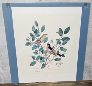 Ken Carlson Bullocks Orioles Artist Proof Print