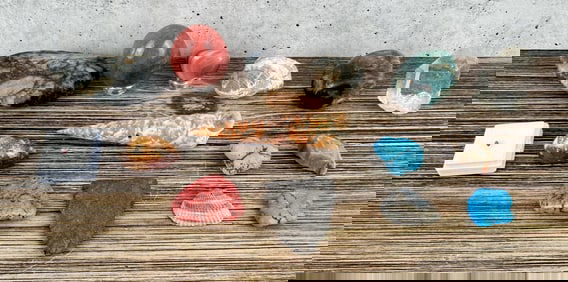 Collection of Mineral Specimens and Sea Shells