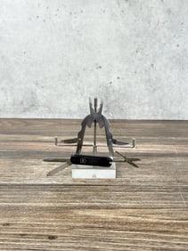Kikkerland Bug Plier Multi Tool & Victorinox Knife