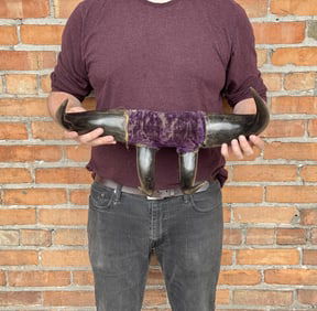 Antique Montana Buffalo Horn Coat Hat Rack