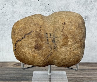 Ancient Native American Indian Stone Hammer Head