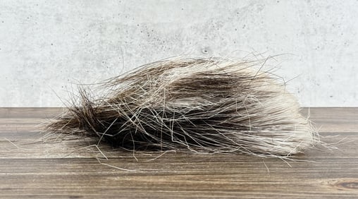 Porcupine Hair Native American Craft Material