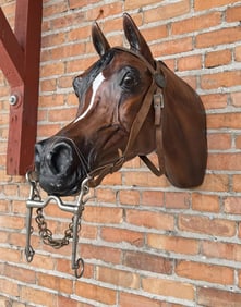 WW1 WWI US Cavalry Bit and Bridle