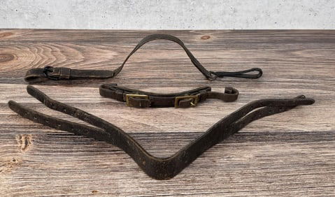 Partial M1885 US Cavalry Bridle