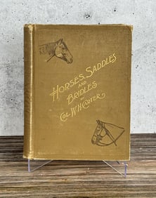Horses Saddles And Bridles