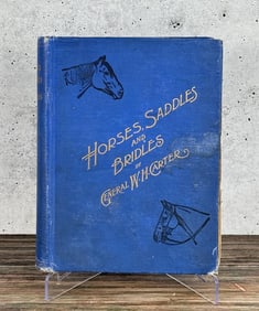 Horses Saddles And Bridles