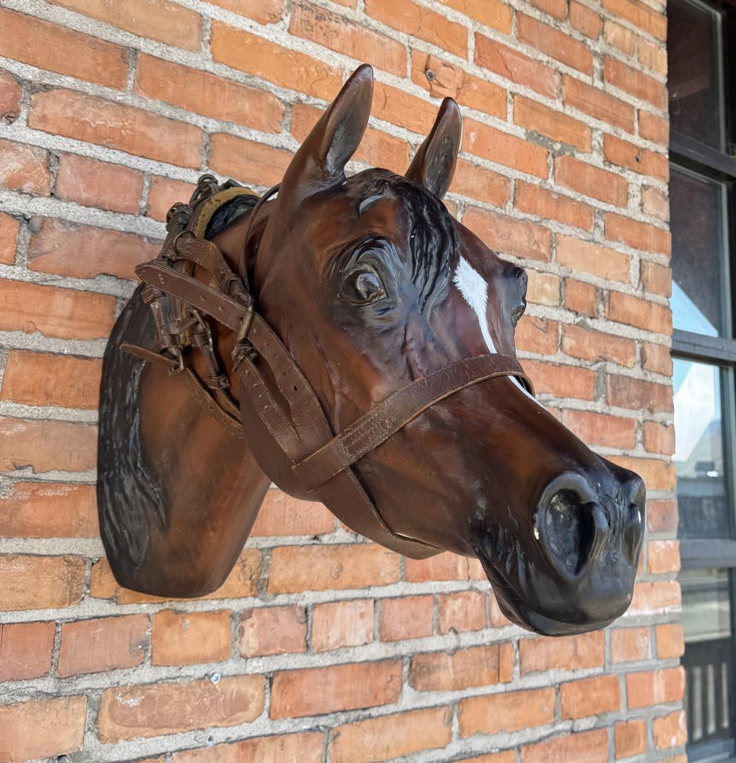 M1912 US Cavalry Cavesson Bridle (1 of 8)