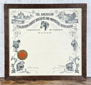 Percheron Horse Breeders Certificate of Pedigree