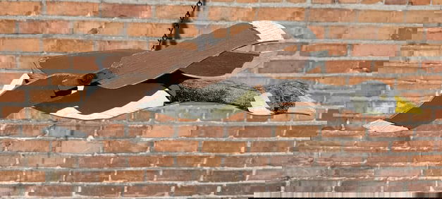 Folk Art Goose Whirligig Whirly Bird
