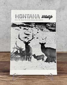 Montana Wildlife