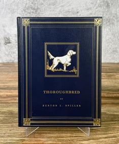 Thoroughbred