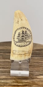 Marsala Whaling Ship Scrimshaw Whale Tooth