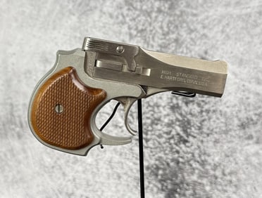 High Standard .22 Mag Stainless Derringer