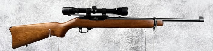 Ruger 10/22 Carbine .22 LR Rifle