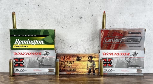 72 Rounds of .45-70 Govt Ammo